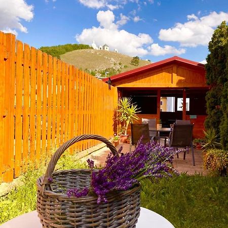 Guesthouse Mikulas Mikulov - Free Parking In The City Center Dış mekan fotoğraf