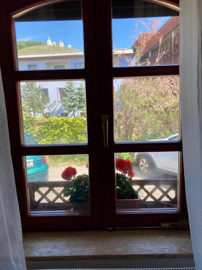 Guesthouse Mikulas Mikulov - Free Parking In The City Center Dış mekan fotoğraf