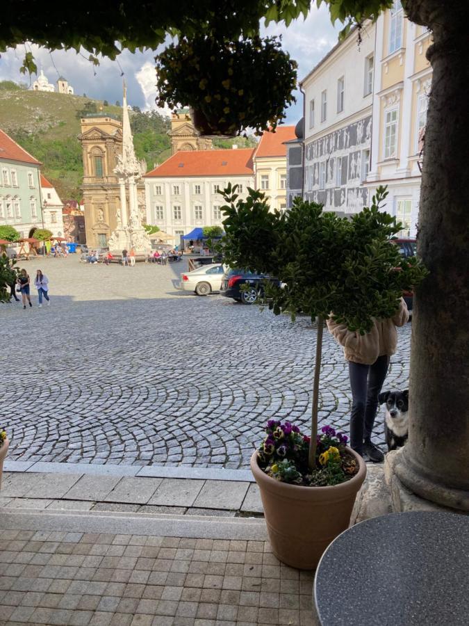 Guesthouse Mikulas Mikulov - Free Parking In The City Center Dış mekan fotoğraf