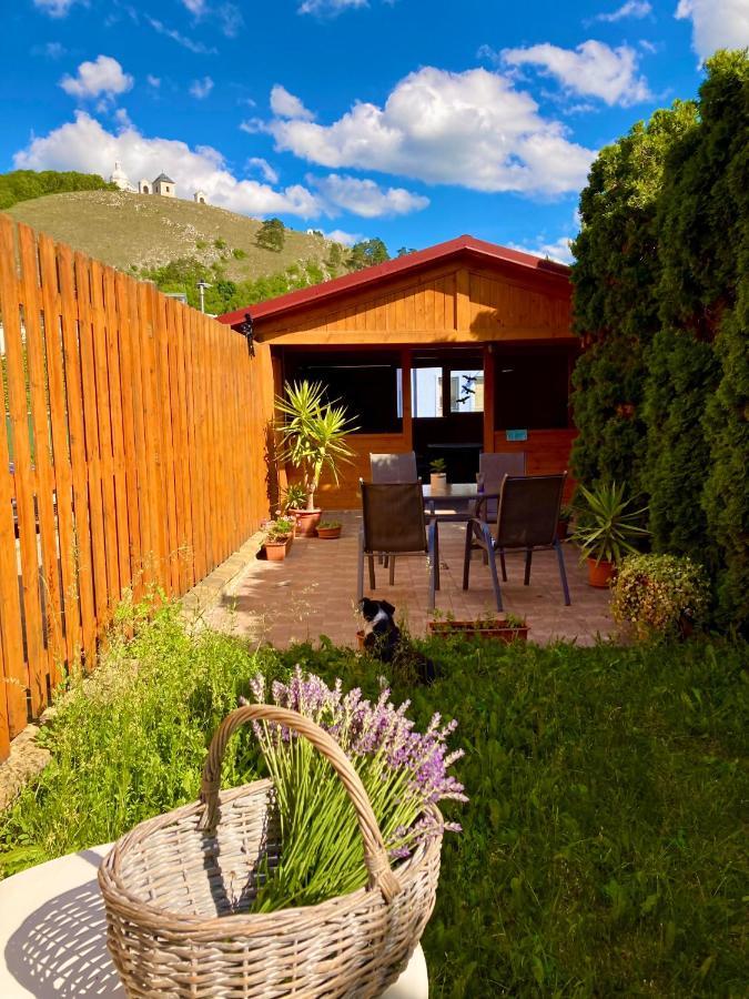 Guesthouse Mikulas Mikulov - Free Parking In The City Center Dış mekan fotoğraf