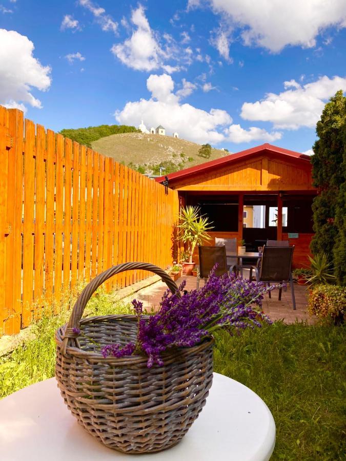 Guesthouse Mikulas Mikulov - Free Parking In The City Center Dış mekan fotoğraf