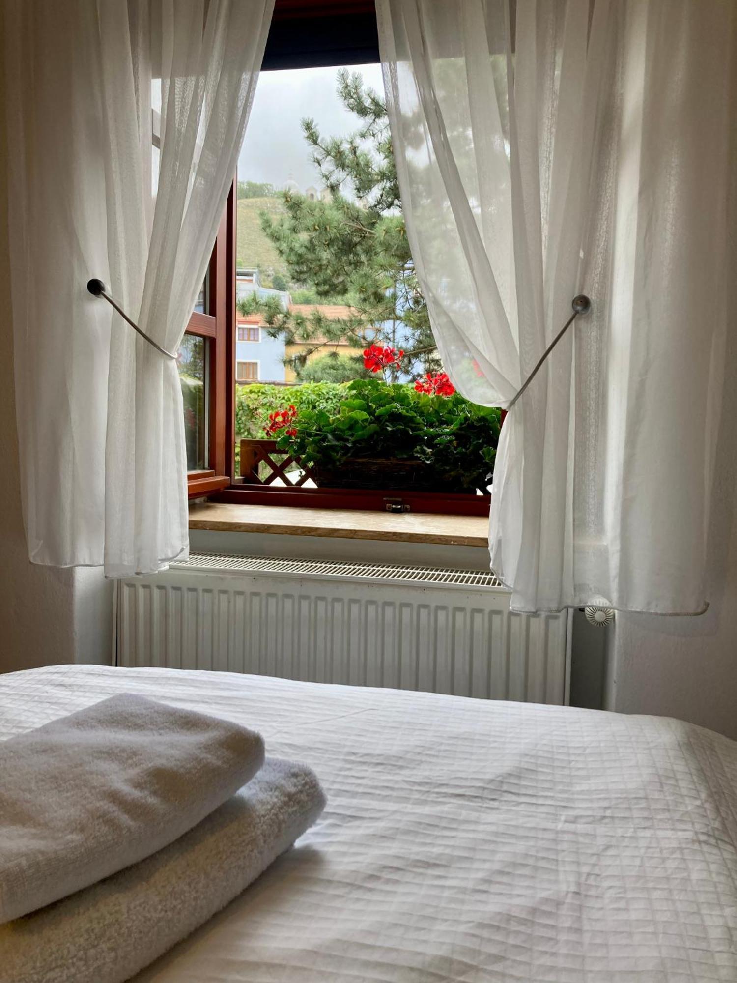 Guesthouse Mikulas Mikulov - Free Parking In The City Center Dış mekan fotoğraf